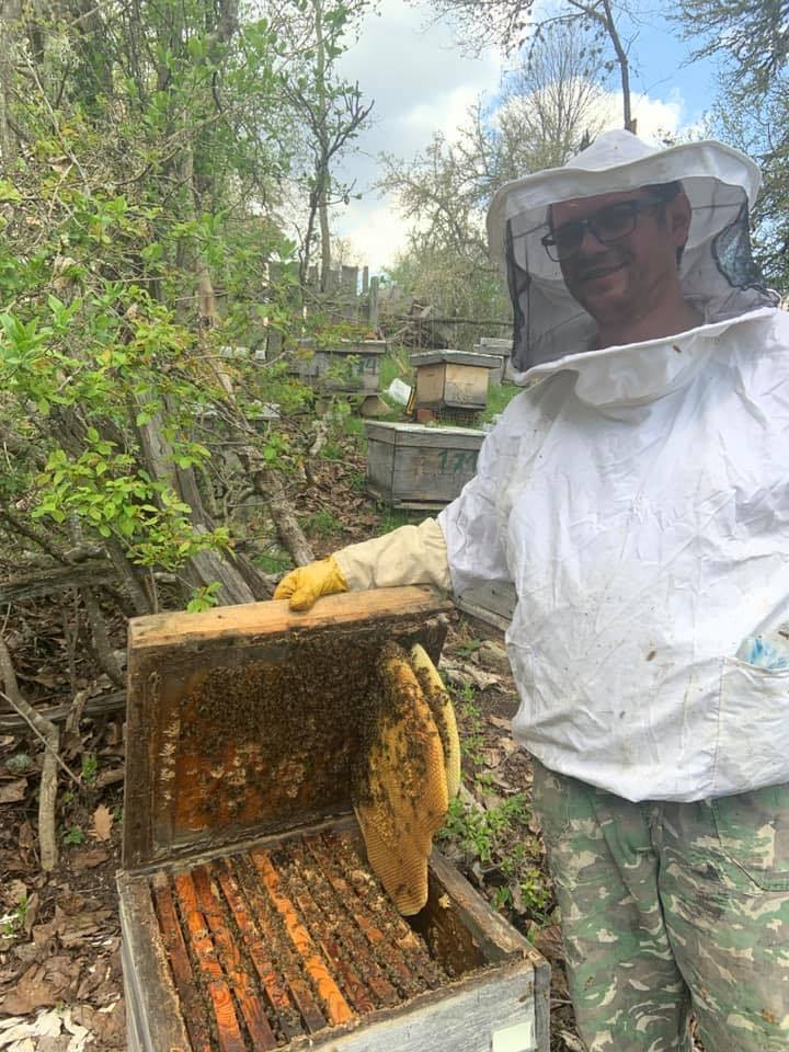 Пчелар покажува пчеларник со природен мед