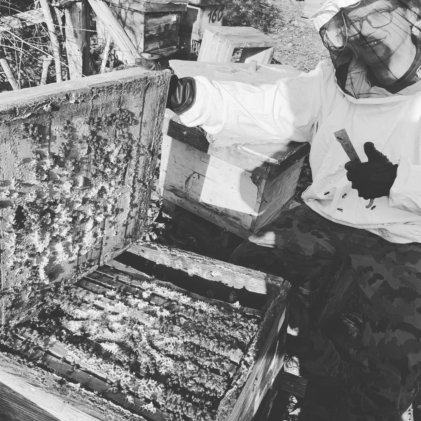 Пчелар со отворен пчеларник