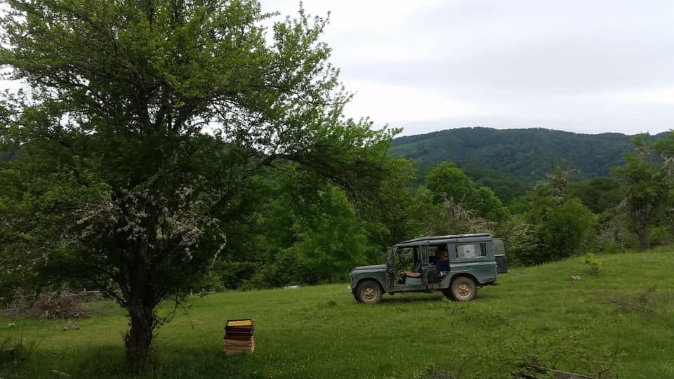 Широки Дол природа со олдтајмери